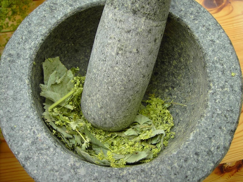 Alchemy Botany